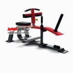 دستگاه ساق پا نشسته وزنه آزاد Inpars FW 2081