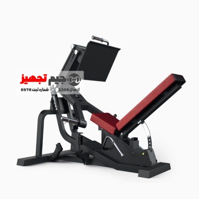 دستگاه پرس پا حرفه ای وزنه آزاد Inpars FW 5003