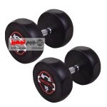 دمبل گرد استپ دار رکورد 15 کیلوگرم یک جفت