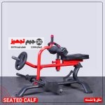 ساق پا نشسته