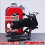 دستگاه پشت ران خوابیده j.s.1 - Image 2