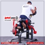 پشت ران ایستاده - Image 2