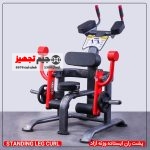 پشت ران ایستاده