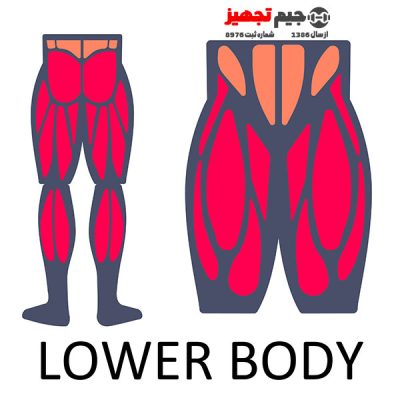 دستگاه بدنسازی پایین تنه