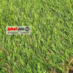 چمن مصنوعی مارال ملانژ 15 میل - Image 2