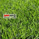 چمن مصنوعی ترانه 25 میل - Image 2