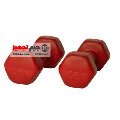 Aerobic dumbbells, 2.5 kg, one pair